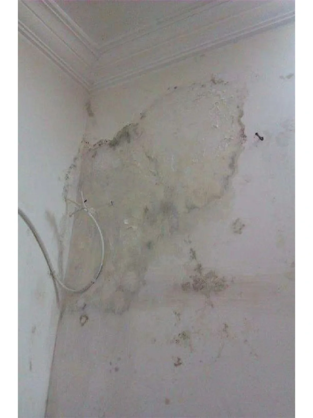 墙面砖裂开是什么原因(墙面砖开裂原因及处理办法)